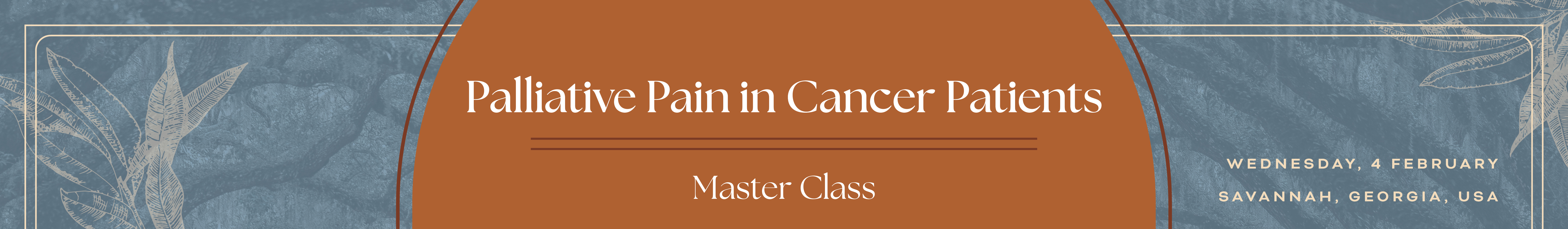 Pain Palliation Master Class Pain Palliation Master Class